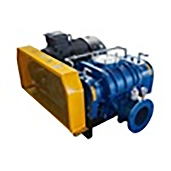 Analiz de pwoblèm nan clearance rotor nan rasin balèn pou poud transmèt